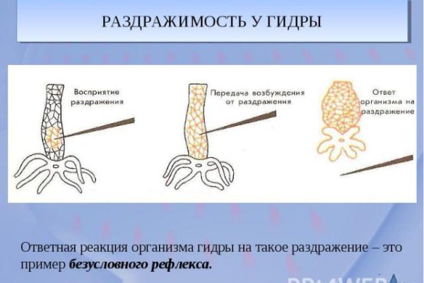 Кракен это современный даркнет маркетплейс