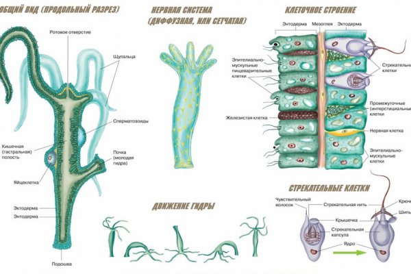 Kraken фейк сайт