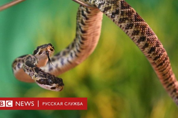 Как найти актуальную ссылку на кракен