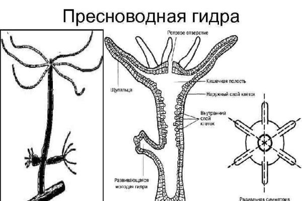 Kraken адрес onion